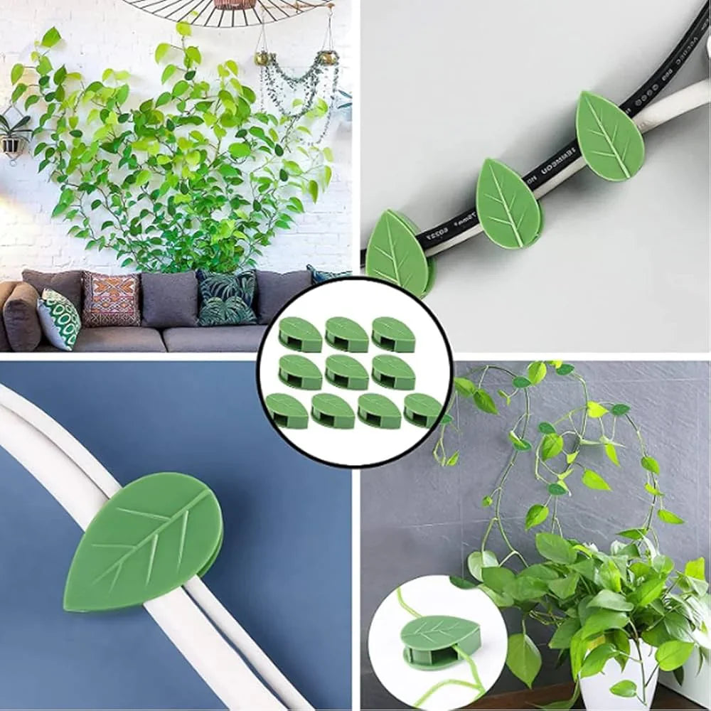Stick-On Wall Clips For Climbing Plants – 10 PCS